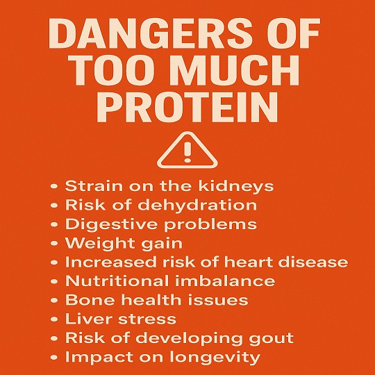 Dangers of Consuming Too Much Protein