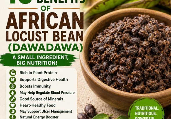 10 Health Benefits of African Locust Bean (Dawadawa)
